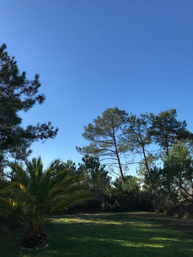 Maison Architecte Bois Du Kador A Morgat Crozon Zewnętrze zdjęcie